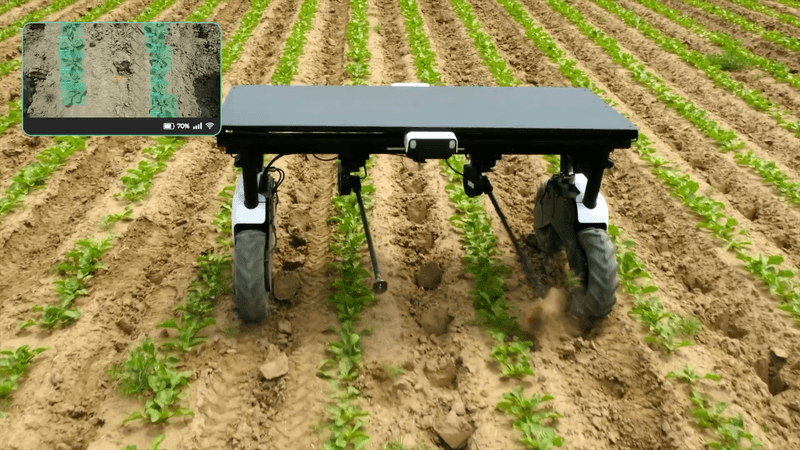 Climate Solutions