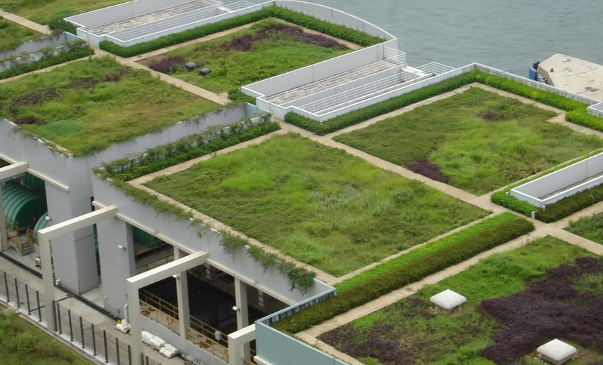 Green and Cool Roofs